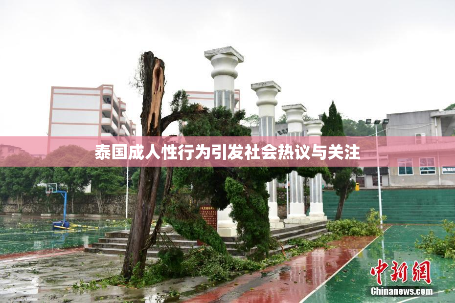 泰国成人性行为引发社会热议与关注