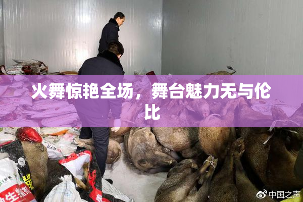 火舞惊艳全场，舞台魅力无与伦比
