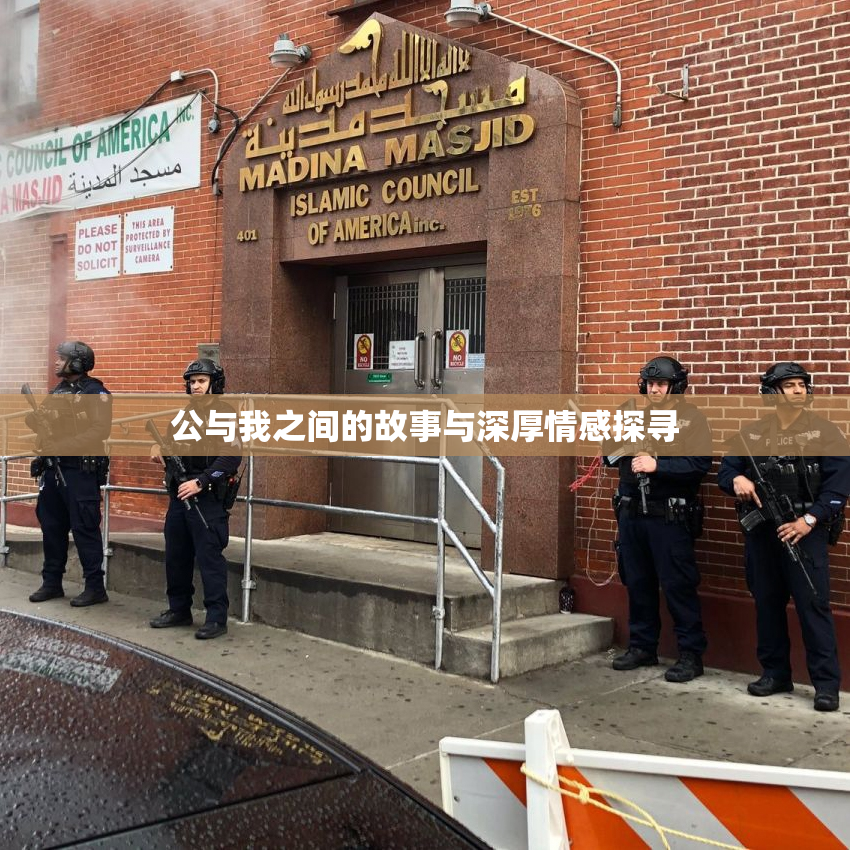 公与我之间的故事与深厚情感探寻