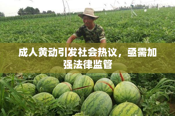 成人黄动引发社会热议，亟需加强法律监管
