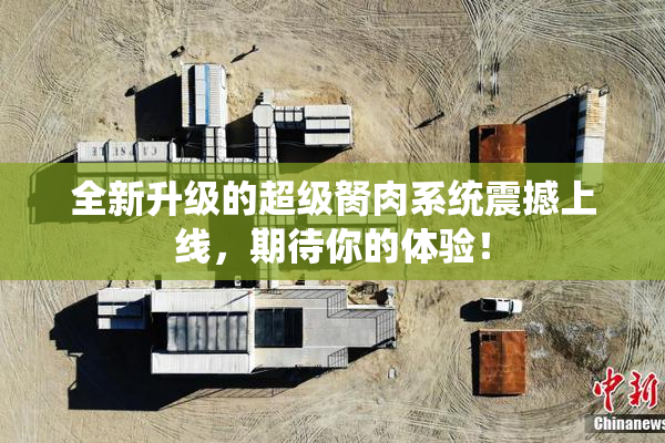 全新升级的超级胬肉系统震撼上线，期待你的体验！