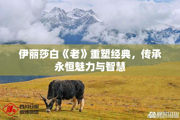伊丽莎白《老》重塑经典，传承永恒魅力与智慧