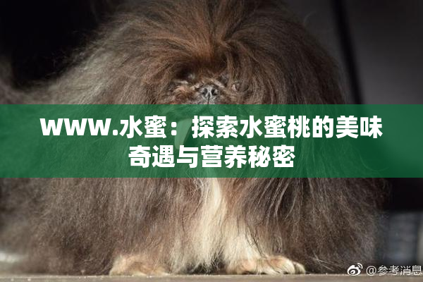 WWW.水蜜：探索水蜜桃的美味奇遇与营养秘密