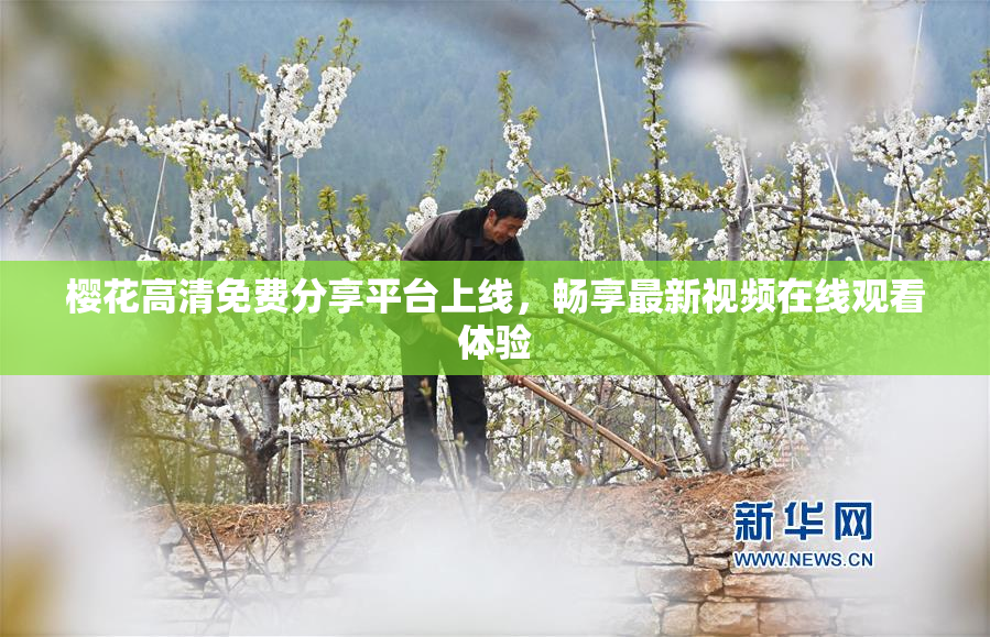 樱花高清免费分享平台上线，畅享最新视频在线观看体验
