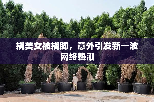 挠美女被挠脚，意外引发新一波网络热潮