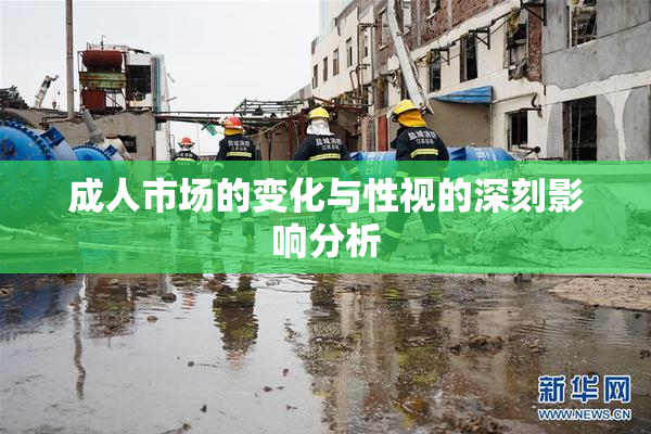 成人市场的变化与性视的深刻影响分析