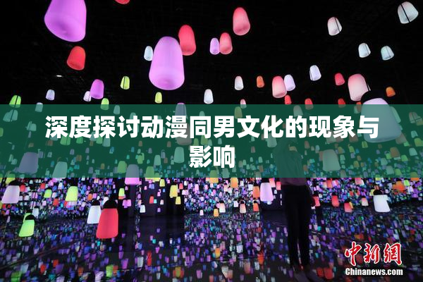 深度探讨动漫同男文化的现象与影响