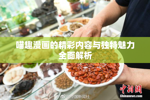 喵趣漫画的精彩内容与独特魅力全面解析