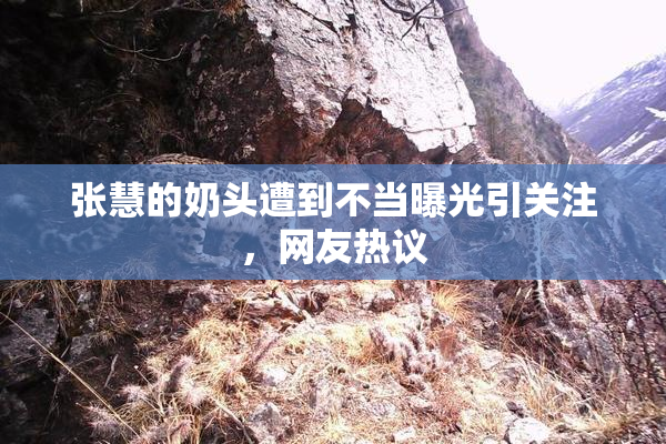 张慧的奶头遭到不当曝光引关注，网友热议