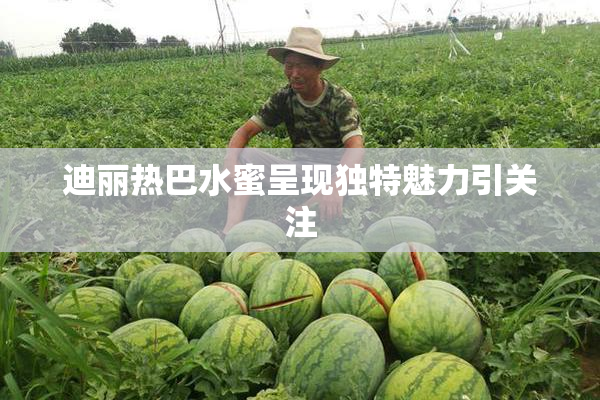 迪丽热巴水蜜呈现独特魅力引关注