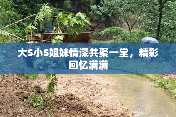 大S小S姐妹情深共聚一堂，精彩回忆满满