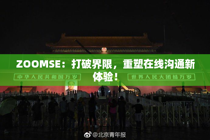 ZOOMSE：打破界限，重塑在线沟通新体验！