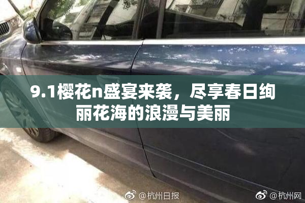 9.1樱花n盛宴来袭，尽享春日绚丽花海的浪漫与美丽