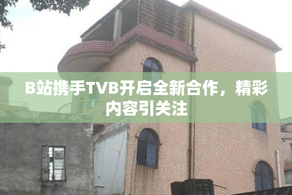 B站携手TVB开启全新合作，精彩内容引关注