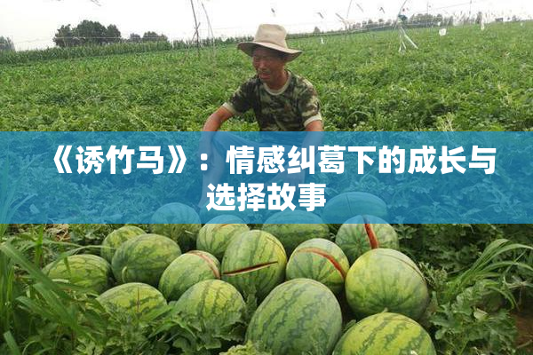 《诱竹马》：情感纠葛下的成长与选择故事