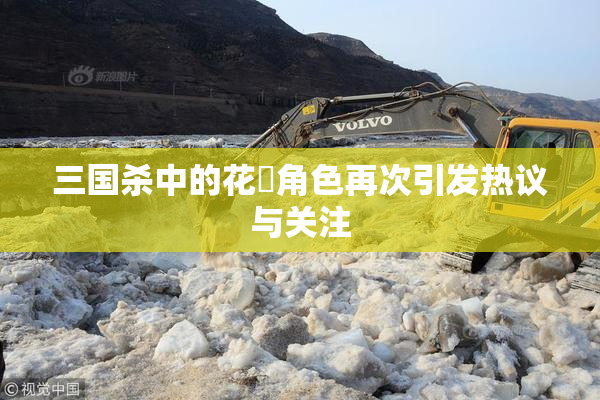 三国杀中的花鬘角色再次引发热议与关注