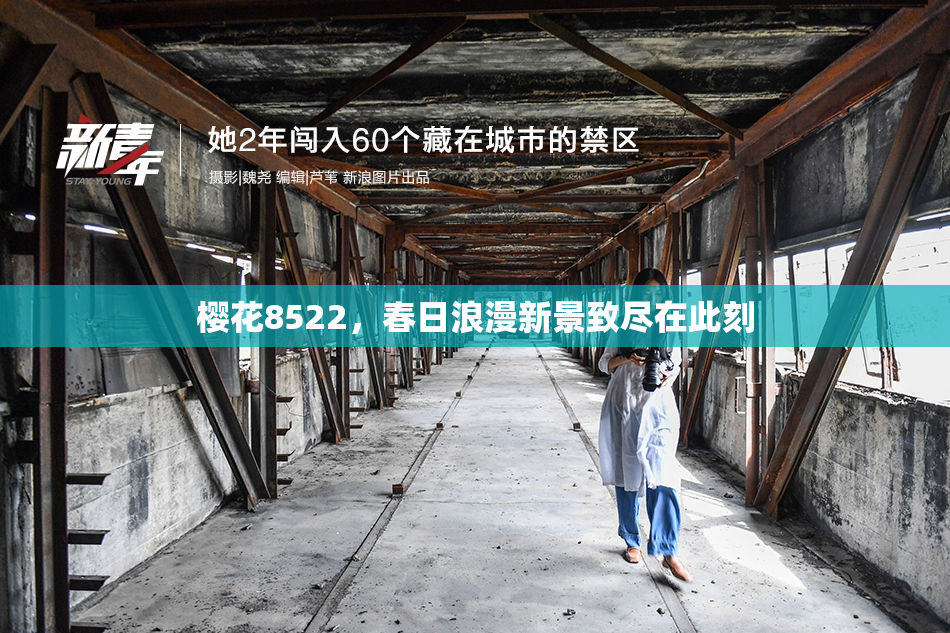 樱花8522，春日浪漫新景致尽在此刻