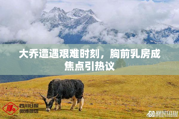 大乔遭遇艰难时刻，胸前乳房成焦点引热议