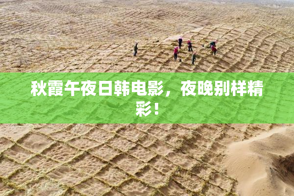 秋霞午夜日韩电影，夜晚别样精彩！