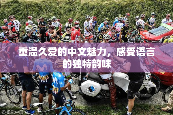 重温久爱的中文魅力，感受语言的独特韵味