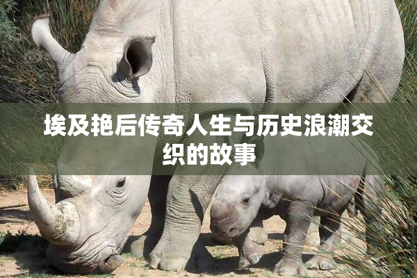 埃及艳后传奇人生与历史浪潮交织的故事