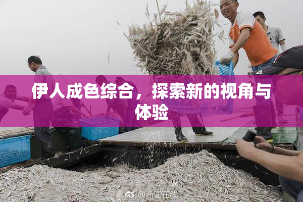 伊人成色综合，探索新的视角与体验