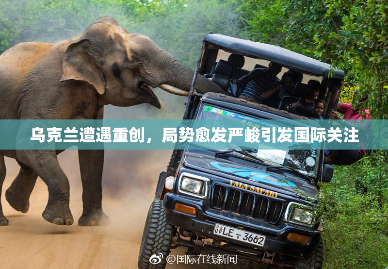 乌克兰遭遇重创，局势愈发严峻引发国际关注