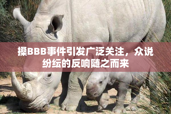 搡BBB事件引发广泛关注，众说纷纭的反响随之而来