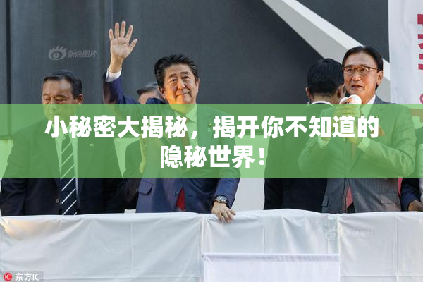 小秘密大揭秘，揭开你不知道的隐秘世界！