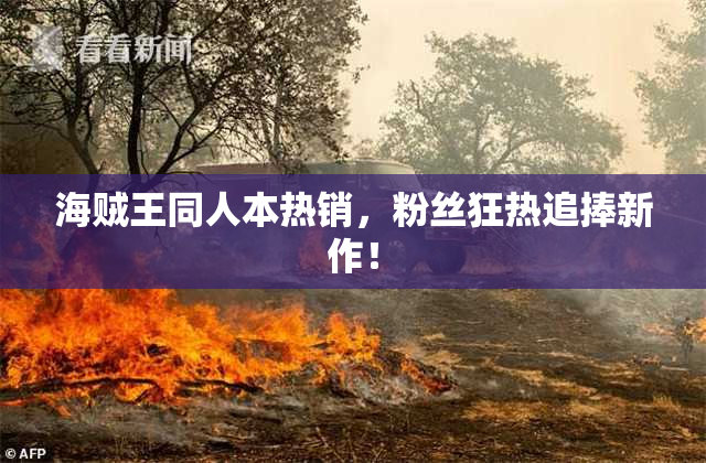 海贼王同人本热销，粉丝狂热追捧新作！