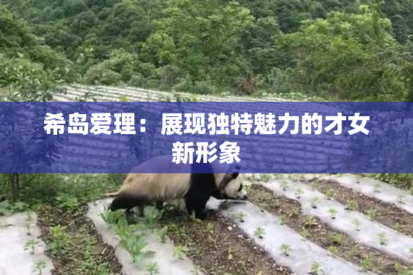 希岛爱理：展现独特魅力的才女新形象