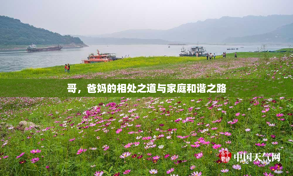 哥，爸妈的相处之道与家庭和谐之路