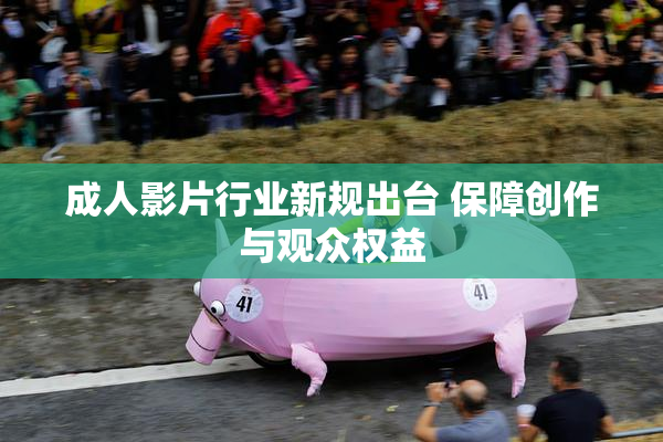 成人影片行业新规出台 保障创作与观众权益