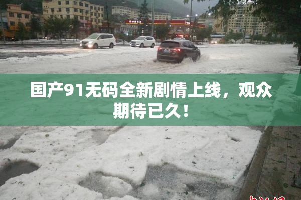 国产91无码全新剧情上线，观众期待已久！