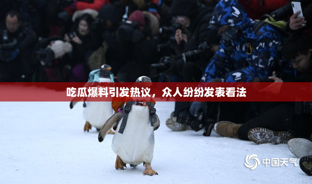 吃瓜爆料引发热议，众人纷纷发表看法