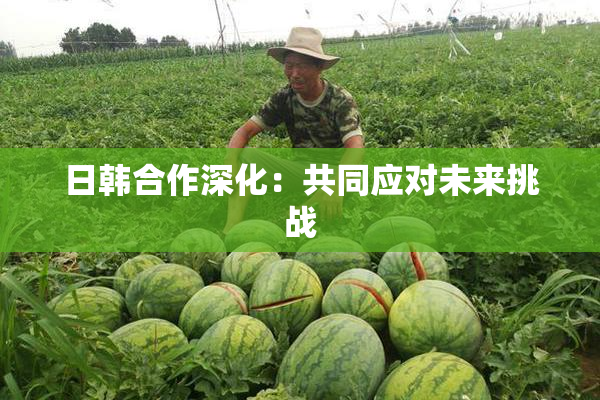 日韩合作深化：共同应对未来挑战