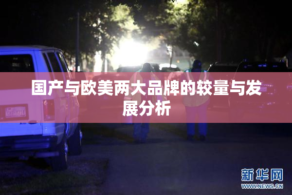 国产与欧美两大品牌的较量与发展分析