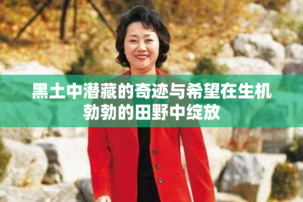 黑土中潜藏的奇迹与希望在生机勃勃的田野中绽放