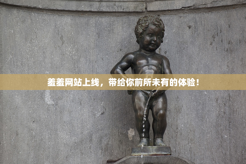 羞羞网站上线，带给你前所未有的体验！