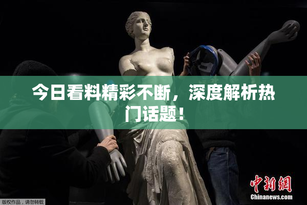 今日看料精彩不断，深度解析热门话题！