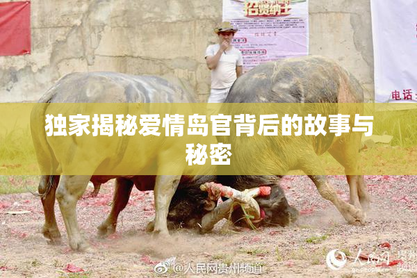 独家揭秘爱情岛官背后的故事与秘密