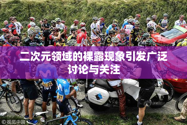 二次元领域的裸露现象引发广泛讨论与关注