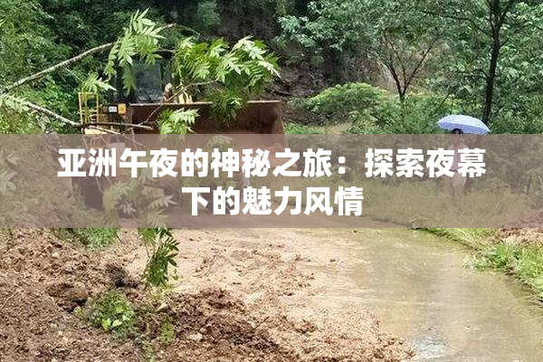 亚洲午夜的神秘之旅：探索夜幕下的魅力风情
