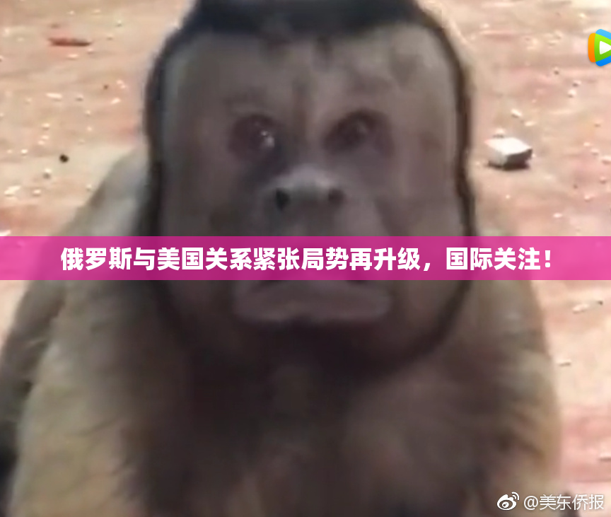 俄罗斯与美国关系紧张局势再升级，国际关注！