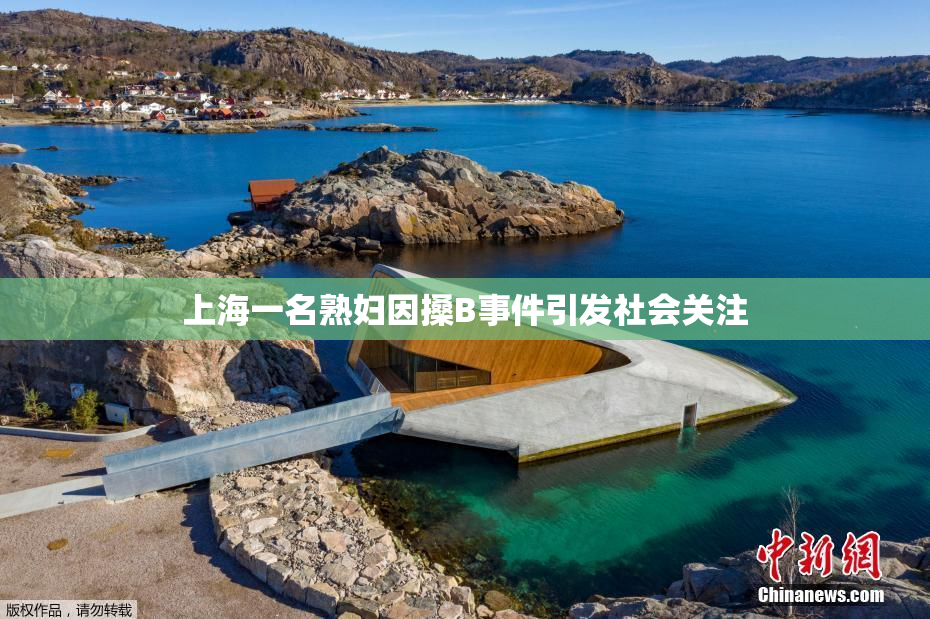 上海一名熟妇因搡B事件引发社会关注
