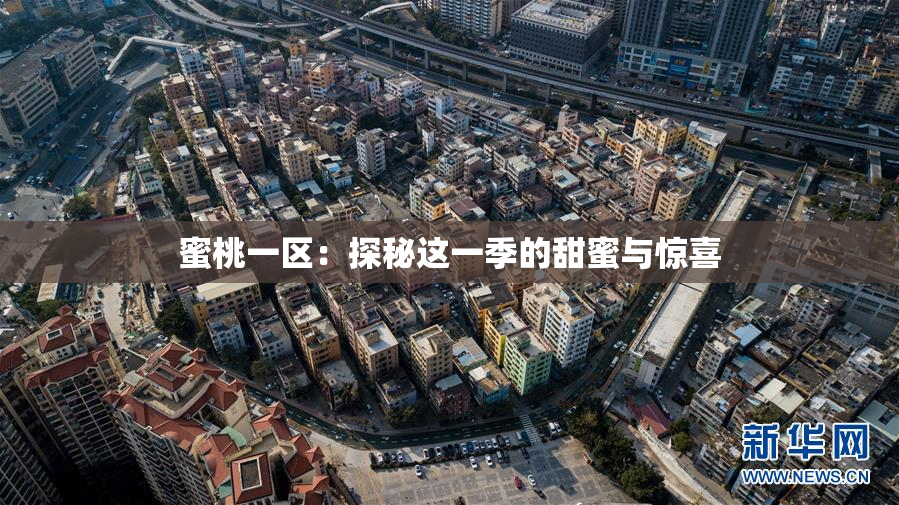 蜜桃一区：探秘这一季的甜蜜与惊喜