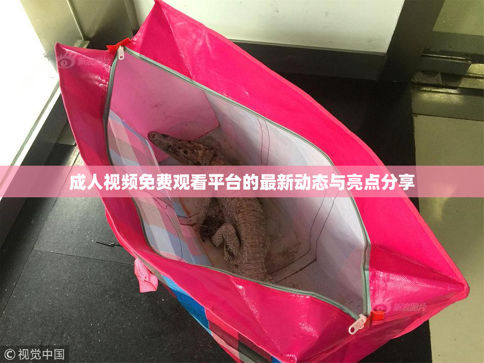 成人视频免费观看平台的最新动态与亮点分享