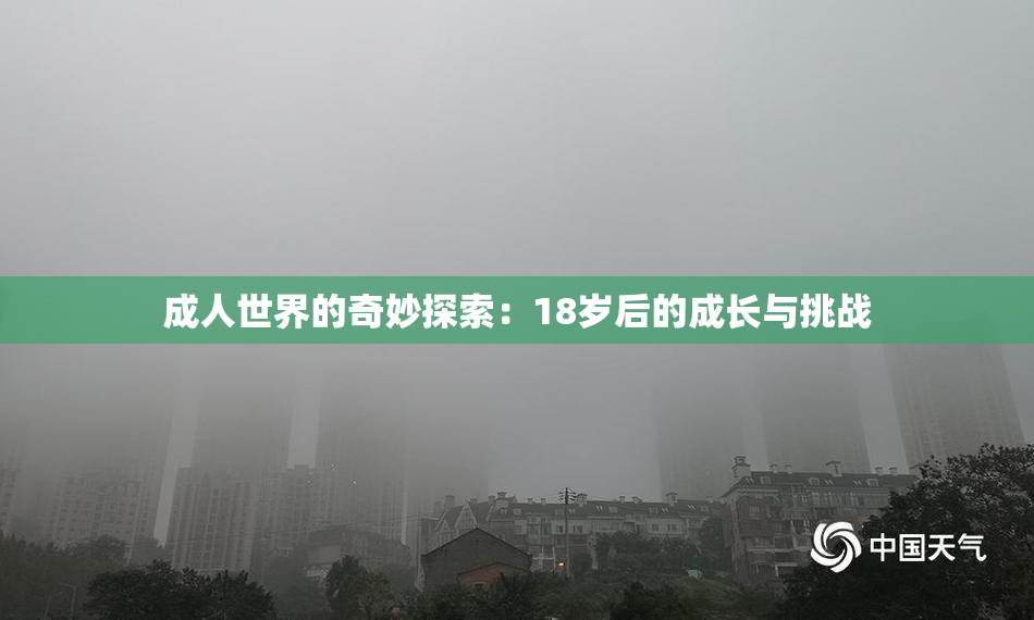 成人世界的奇妙探索：18岁后的成长与挑战