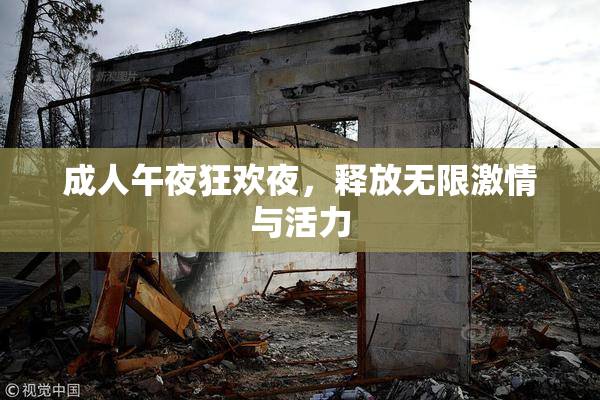 成人午夜狂欢夜，释放无限激情与活力