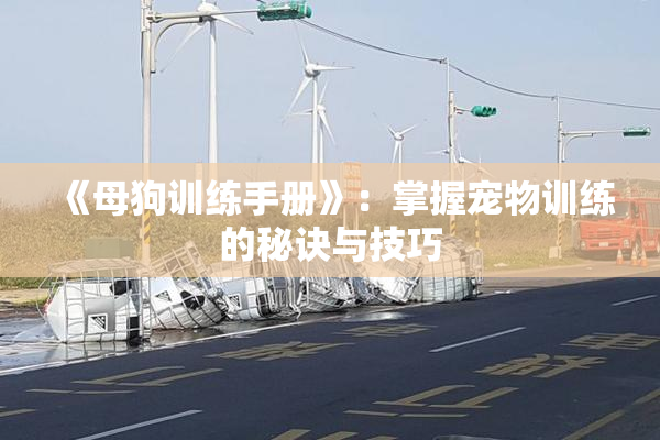 《母狗训练手册》：掌握宠物训练的秘诀与技巧
